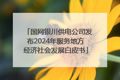 国网银川供电公司发布2024年服务地方经济社会发展白皮书