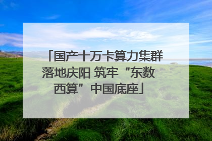 国产十万卡算力集群落地庆阳 筑牢“东数西算”中国底座