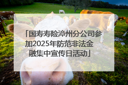 国寿寿险漳州分公司参加2025年防范非法金融集中宣传日活动