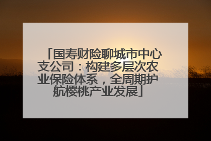 国寿财险聊城市中心支公司：构建多层次农业保险体系，全周期护航樱桃产业发展
