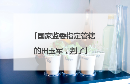 国家监委指定管辖的田玉军，判了
