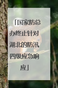 国家防总办终止针对湖北的防汛四级应急响应