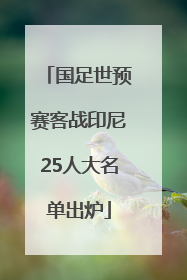 国足世预赛客战印尼25人大名单出炉