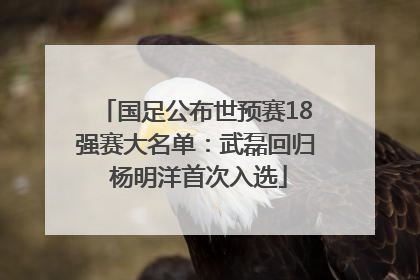 国足公布世预赛18强赛大名单：武磊回归 杨明洋首次入选