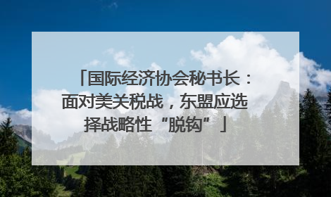国际经济协会秘书长：面对美关税战，东盟应选择战略性“脱钩”