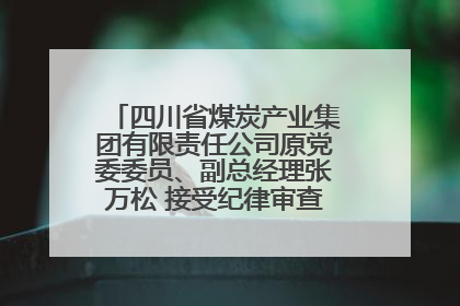 四川省煤炭产业集团有限责任公司原党委委员、副总经理张万松 接受纪律审查和监察调查
