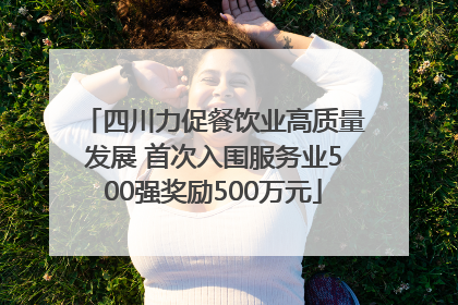 四川力促餐饮业高质量发展 首次入围服务业500强奖励500万元
