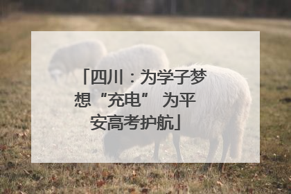 四川：为学子梦想“充电” 为平安高考护航