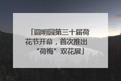 圆明园第三十届荷花节开幕，首次推出“荷梅”双花展