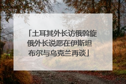 土耳其外长访俄斡旋 俄外长说愿在伊斯坦布尔与乌克兰再谈