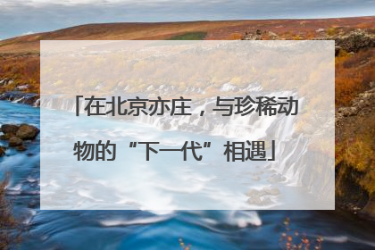 在北京亦庄，与珍稀动物的“下一代”相遇