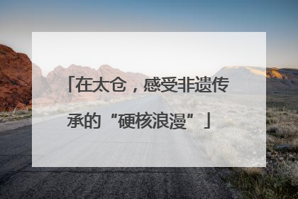 在太仓，感受非遗传承的“硬核浪漫”