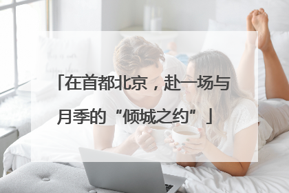 在首都北京，赴一场与月季的“倾城之约”