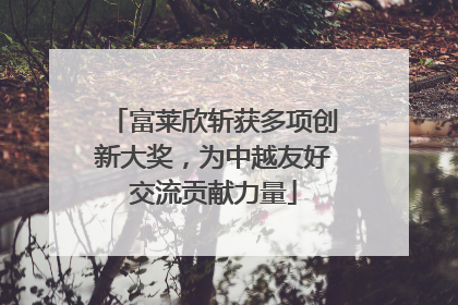 富莱欣斩获多项创新大奖，为中越友好交流贡献力量