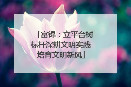 富锦：立平台树标杆深耕文明实践培育文明新风