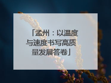 孟州：以温度与速度书写高质量发展答卷