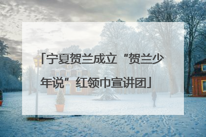 宁夏贺兰成立“贺兰少年说”红领巾宣讲团