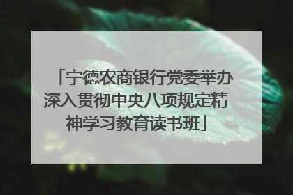 宁德农商银行党委举办深入贯彻中央八项规定精神学习教育读书班