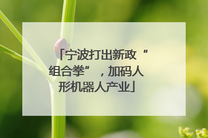 宁波打出新政“组合拳”，加码人形机器人产业