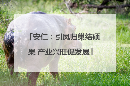 安仁：引凤归巢结硕果 产业兴旺促发展