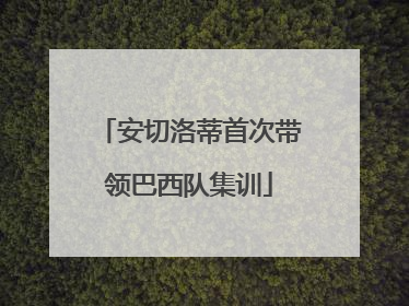 安切洛蒂首次带领巴西队集训