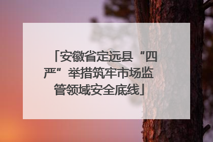 安徽省定远县“四严”举措筑牢市场监管领域安全底线