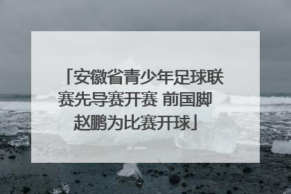 安徽省青少年足球联赛先导赛开赛 前国脚赵鹏为比赛开球