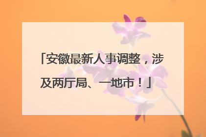 安徽最新人事调整，涉及两厅局、一地市！