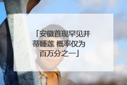 安徽首现罕见并蒂睡莲 概率仅为百万分之一