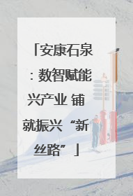 安康石泉：数智赋能兴产业 铺就振兴“新丝路”