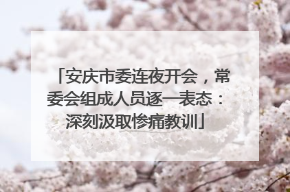 安庆市委连夜开会，常委会组成人员逐一表态：深刻汲取惨痛教训