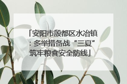 安阳市殷都区水冶镇：多举措备战“三夏” 筑牢粮食安全防线