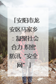 安阳市龙安区马家乡：凝聚社会合力 织密防汛“安全网”