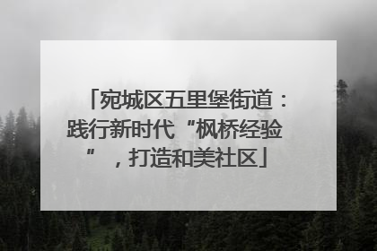 宛城区五里堡街道：践行新时代“枫桥经验”，打造和美社区