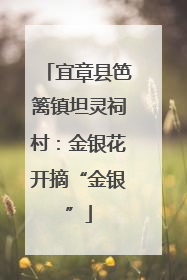 宜章县笆篱镇坦灵祠村：金银花开摘“金银”