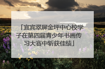 宜宾翠屏金坪中心校学子在第四届青少年书画传习大赛中斩获佳绩
