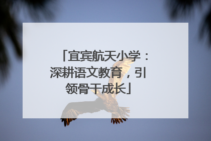 宜宾航天小学：深耕语文教育，引领骨干成长