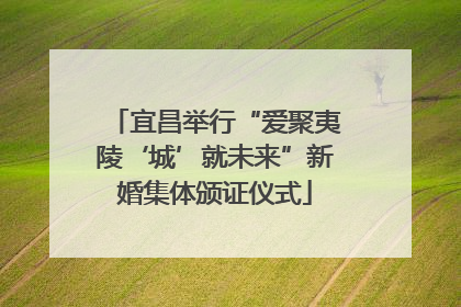 宜昌举行“爱聚夷陵‘城’就未来”新婚集体颁证仪式