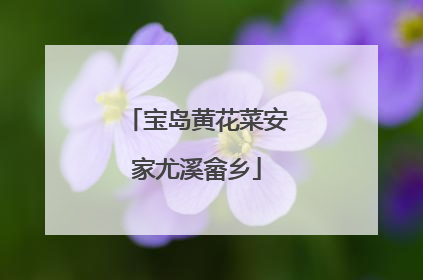 宝岛黄花菜安家尤溪畲乡
