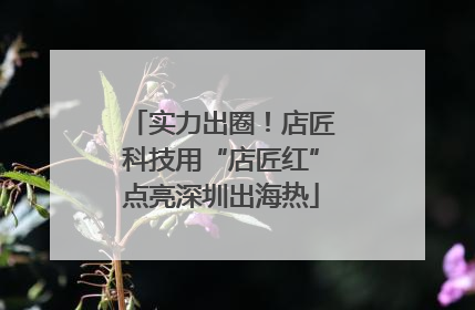 实力出圈！店匠科技用“店匠红”点亮深圳出海热