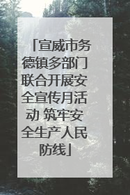 宣威市务德镇多部门联合开展安全宣传月活动 筑牢安全生产人民防线