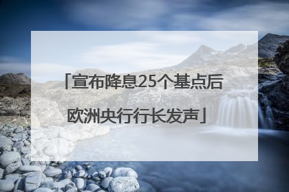 宣布降息25个基点后 欧洲央行行长发声