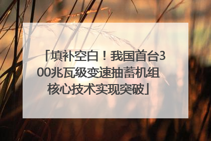 填补空白！我国首台300兆瓦级变速抽蓄机组核心技术实现突破