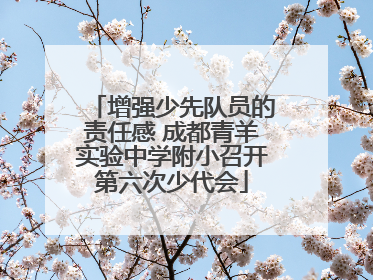 增强少先队员的责任感 成都青羊实验中学附小召开第六次少代会