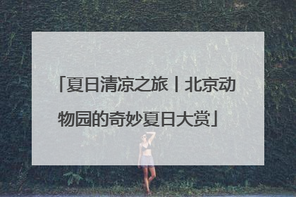 夏日清凉之旅丨北京动物园的奇妙夏日大赏