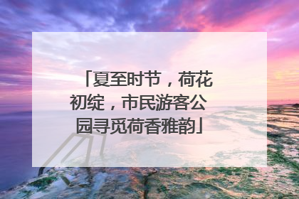夏至时节，荷花初绽，市民游客公园寻觅荷香雅韵