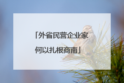 外省民营企业家何以扎根商南