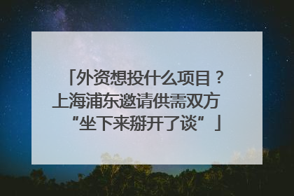 外资想投什么项目？上海浦东邀请供需双方“坐下来掰开了谈”