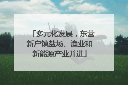 多元化发展，东营新户镇盐场、渔业和新能源产业并进