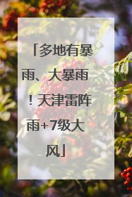 多地有暴雨、大暴雨！天津雷阵雨+7级大风